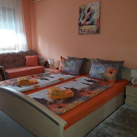 Nela Apartmani Nis Bagian luar foto
