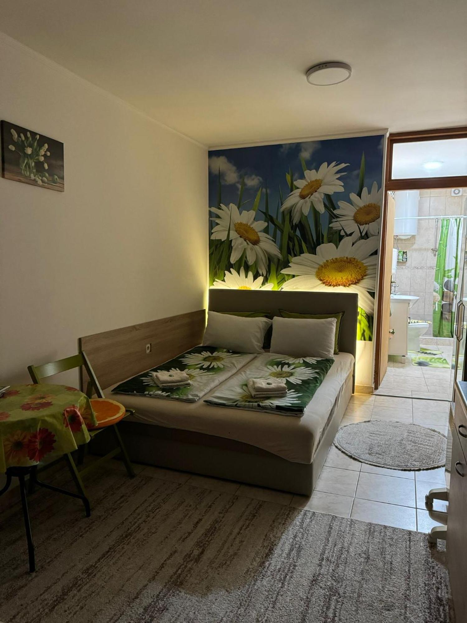 Nela Apartmani Nis Bagian luar foto