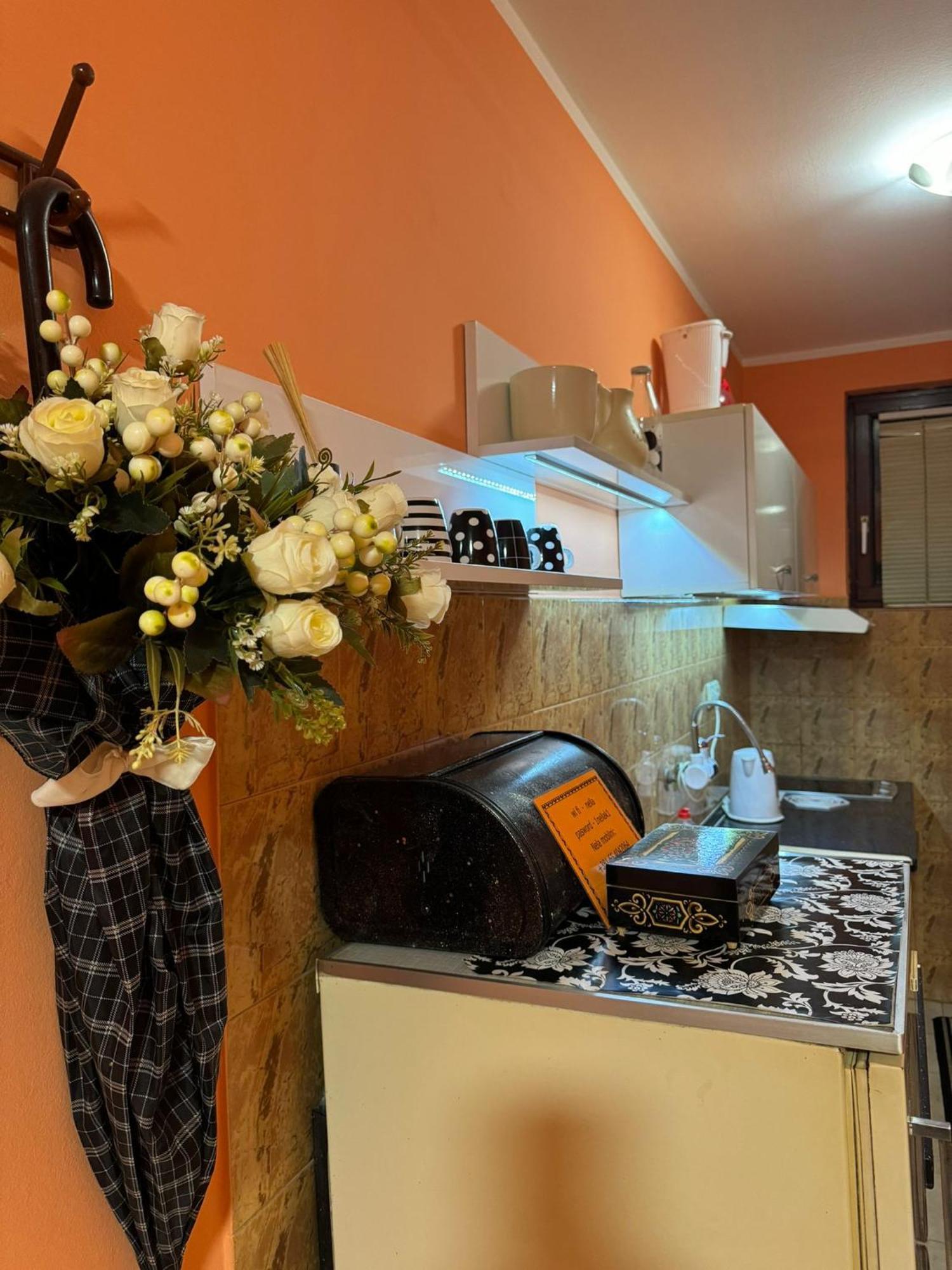 Nela Apartmani Nis Bagian luar foto