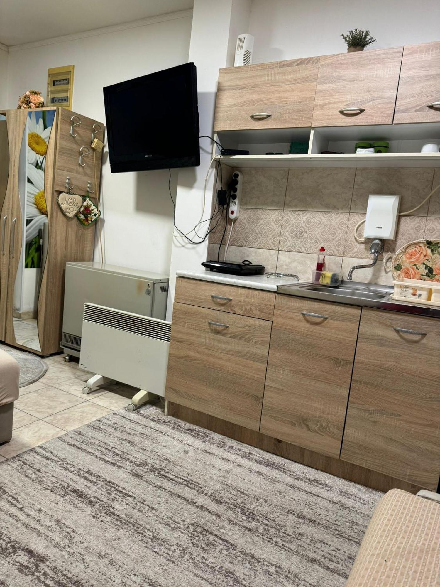 Nela Apartmani Nis Bagian luar foto