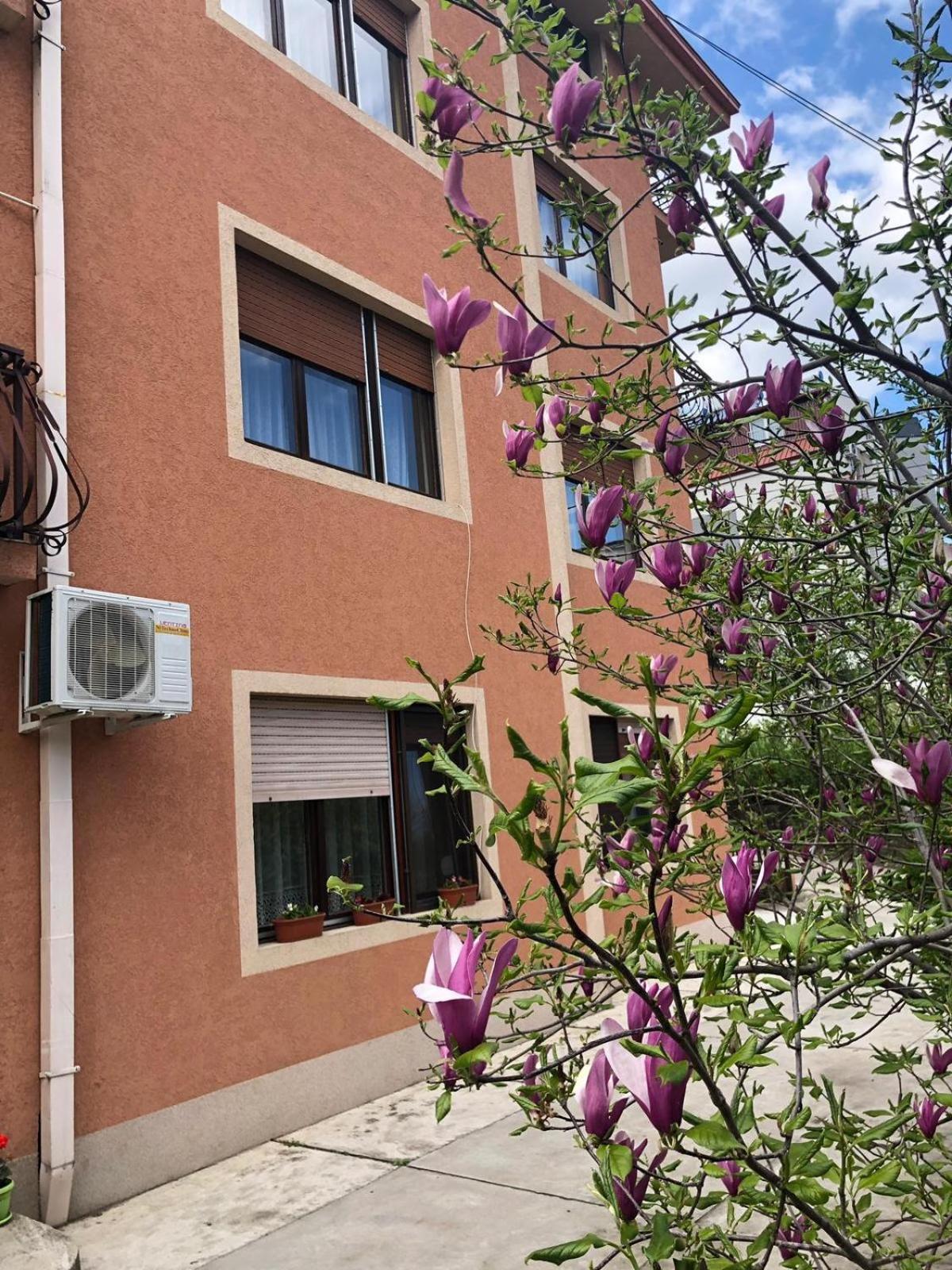 Nela Apartmani Nis Bagian luar foto